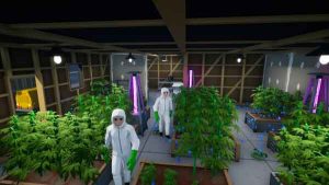 Drug-Lord-Tycoon-Screenshot-AtopGames-2