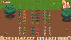 Orange-Season-Screenshot-AtopGames-1