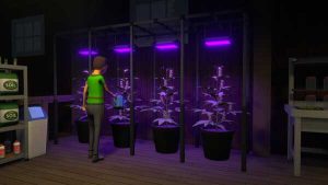 Schedule-I-Screenshot-AtopGames-1